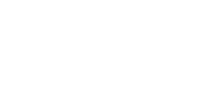 Logo website allround kunstenaar Sophisual met oog en SD als iris
